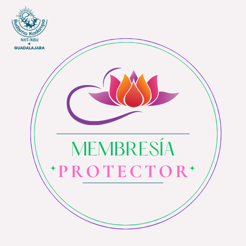 Membresía Protector (3)